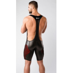 Wrestler Body